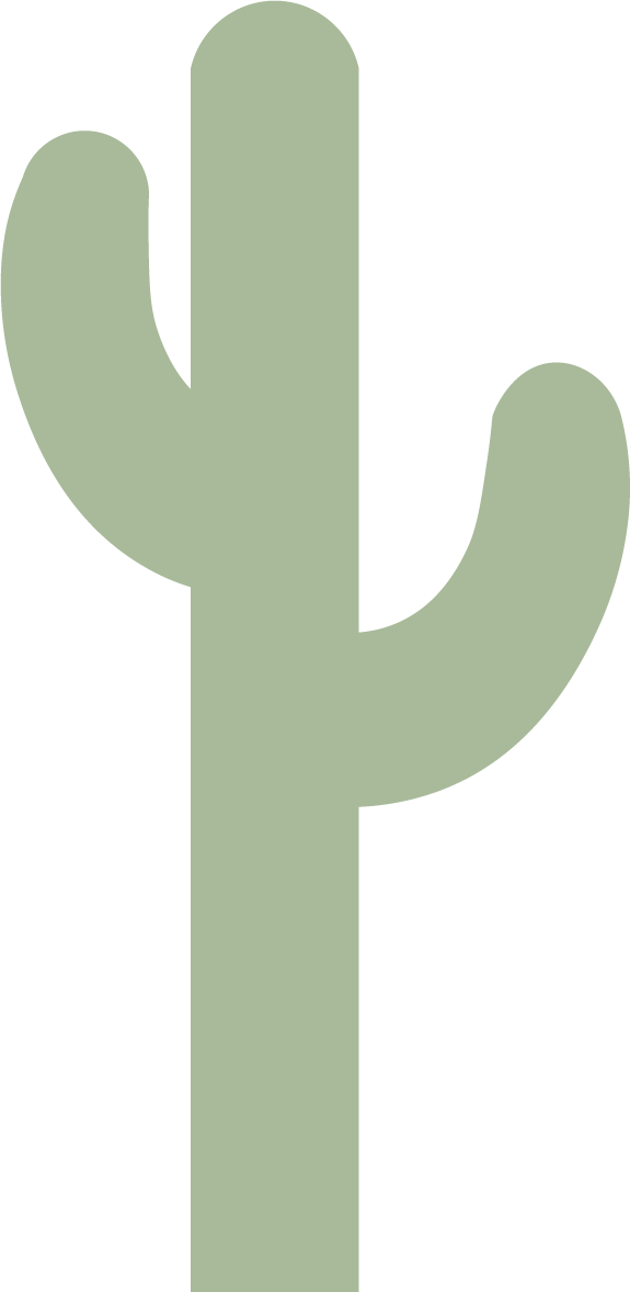 sticky digital catcus favicon